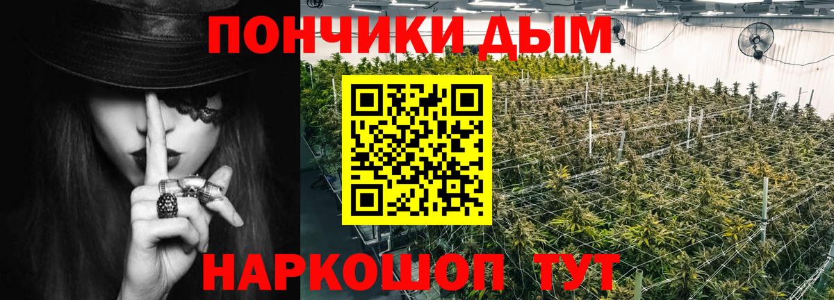 Заречный  Конопля SATIVA & INDICA  Шишки марихуана White Widow  Вход с VPN  Каннабис THC 21%  Бошки Шишки THC 21% 